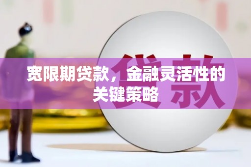 锡林郭勒宽限期贷款，金融灵活性的关键策略