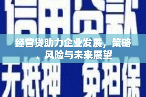 锡林郭勒经营贷助力企业发展，策略、风险与未来展望