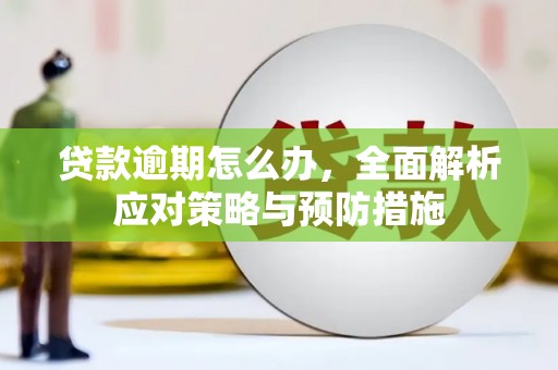 锡林郭勒贷款逾期怎么办，全面解析应对策略与预防措施