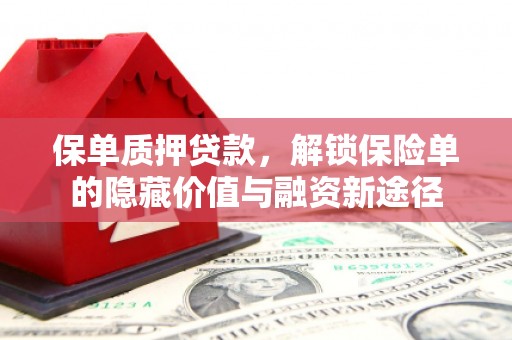锡林郭勒保单质押贷款，解锁保险单的隐藏价值与融资新途径