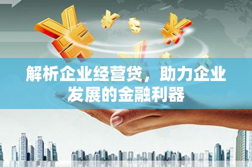 锡林郭勒解析企业经营贷，助力企业发展的金融利器