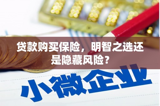 锡林郭勒贷款购买保险，明智之选还是隐藏风险？