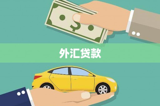 锡林郭勒外汇贷款