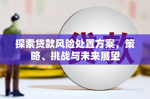 锡林郭勒探索贷款风险处置方案，策略、挑战与未来展望