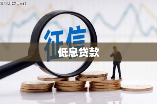 锡林郭勒低息贷款