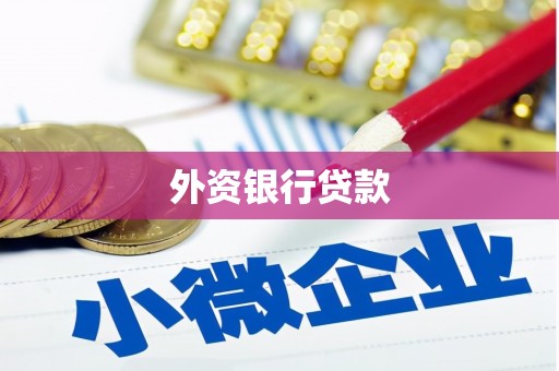 锡林郭勒外资银行贷款
