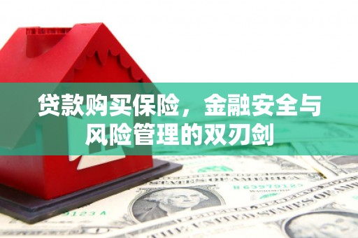锡林郭勒贷款购买保险，金融安全与风险管理的双刃剑