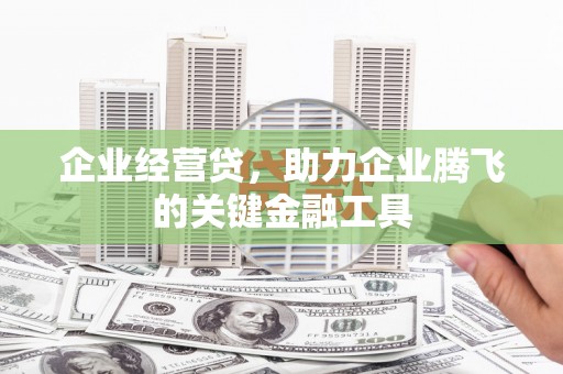 锡林郭勒企业经营贷，助力企业腾飞的关键金融工具