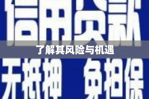 锡林郭勒了解其风险与机遇