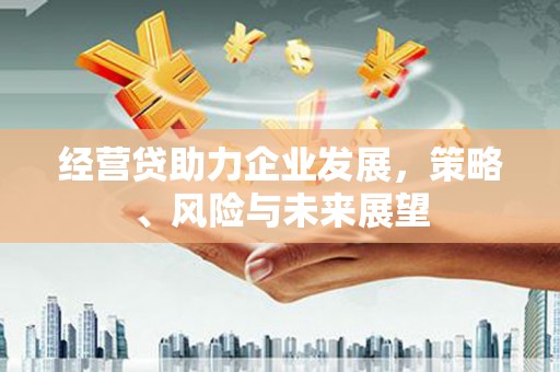 锡林郭勒经营贷助力企业发展，策略、风险与未来展望