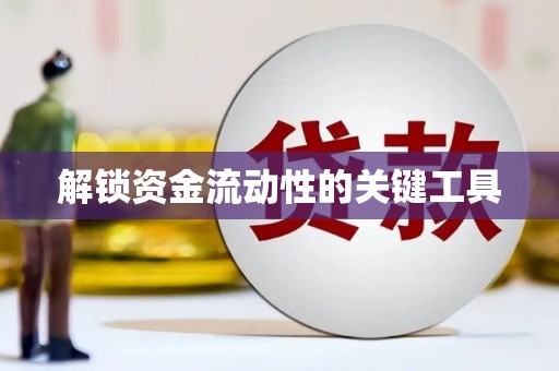 锡林郭勒解锁资金流动性的关键工具