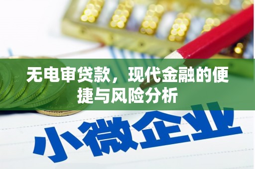 锡林郭勒无电审贷款，现代金融的便捷与风险分析