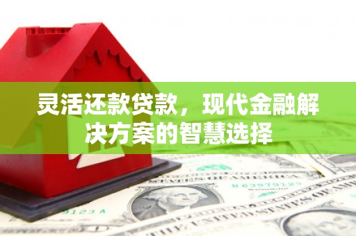 锡林郭勒灵活还款贷款，现代金融解决方案的智慧选择