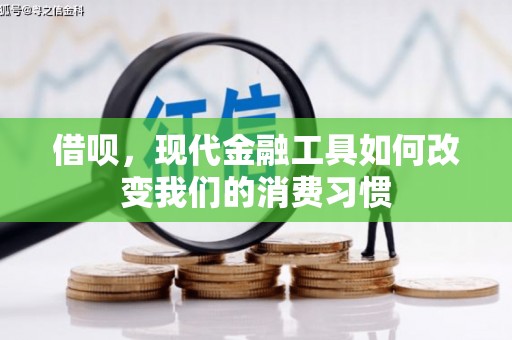 锡林郭勒借呗，现代金融工具如何改变我们的消费习惯