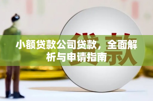 锡林郭勒小额贷款公司贷款，全面解析与申请指南