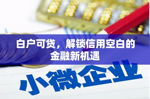 锡林郭勒白户可贷，解锁信用空白的金融新机遇