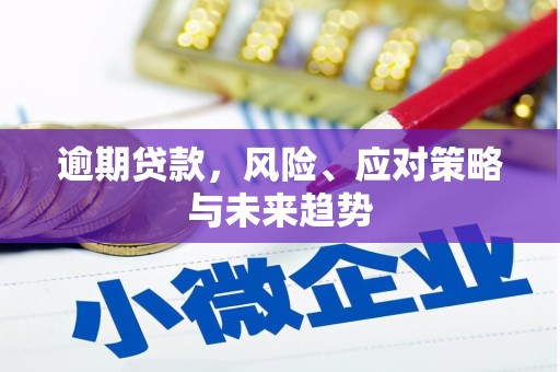 锡林郭勒逾期贷款，风险、应对策略与未来趋势