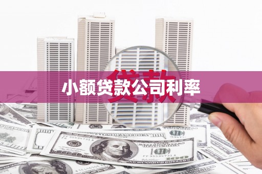 锡林郭勒小额贷款公司利率