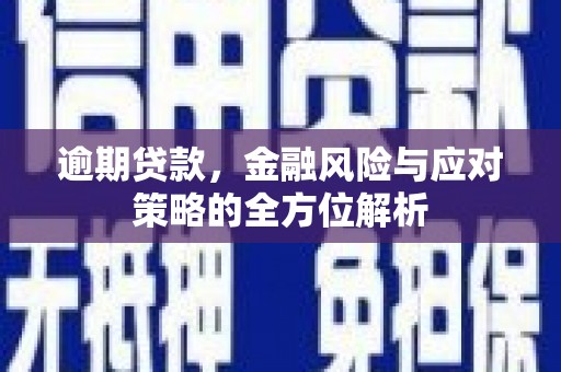 锡林郭勒逾期贷款，金融风险与应对策略的全方位解析