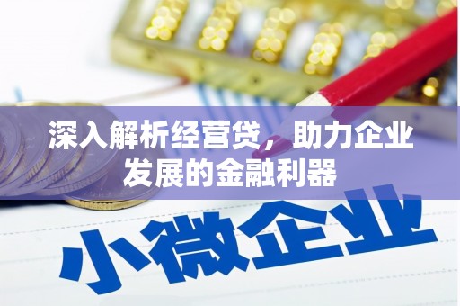 锡林郭勒深入解析经营贷，助力企业发展的金融利器
