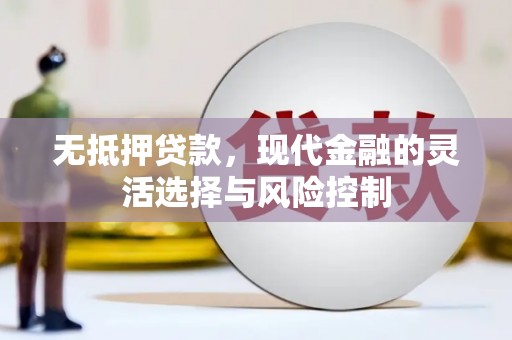 锡林郭勒无抵押贷款，现代金融的灵活选择与风险控制