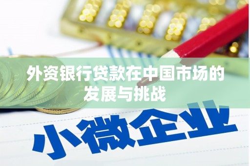 锡林郭勒外资银行贷款在中国市场的发展与挑战