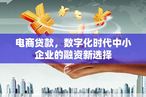 锡林郭勒电商贷款，数字化时代中小企业的融资新选择