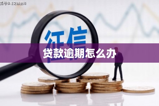 锡林郭勒贷款逾期怎么办