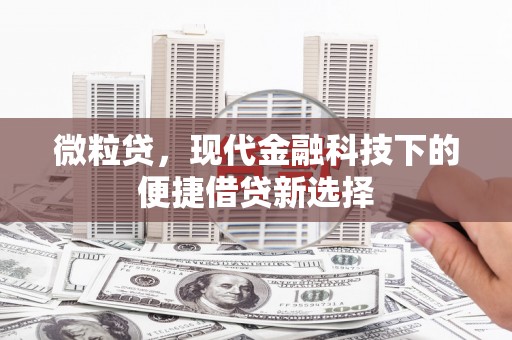 锡林郭勒微粒贷，现代金融科技下的便捷借贷新选择