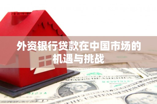 锡林郭勒外资银行贷款在中国市场的机遇与挑战