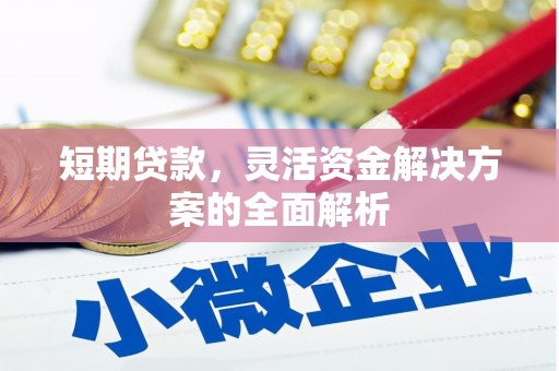 锡林郭勒短期贷款，灵活资金解决方案的全面解析