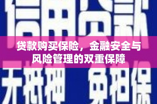 锡林郭勒贷款购买保险，金融安全与风险管理的双重保障