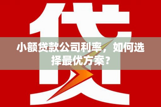 锡林郭勒小额贷款公司利率，如何选择最优方案？