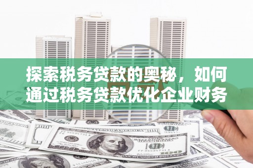 锡林郭勒探索税务贷款的奥秘，如何通过税务贷款优化企业财务