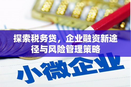 锡林郭勒探索税务贷，企业融资新途径与风险管理策略