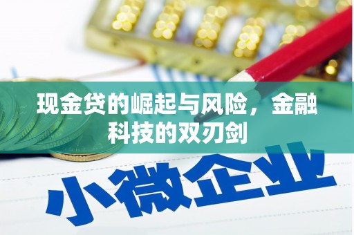 锡林郭勒现金贷的崛起与风险，金融科技的双刃剑