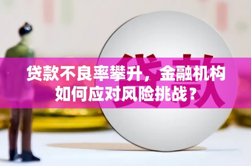 锡林郭勒贷款不良率攀升，金融机构如何应对风险挑战？