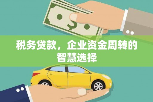 锡林郭勒税务贷款，企业资金周转的智慧选择