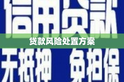 锡林郭勒贷款风险处置方案