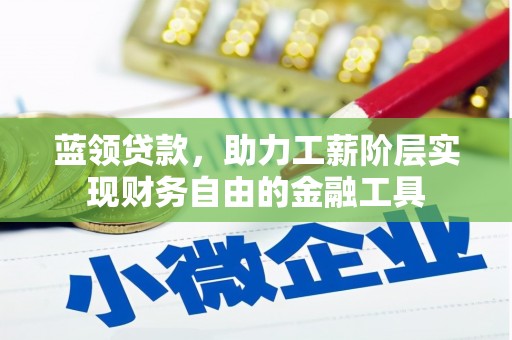 锡林郭勒蓝领贷款，助力工薪阶层实现财务自由的金融工具
