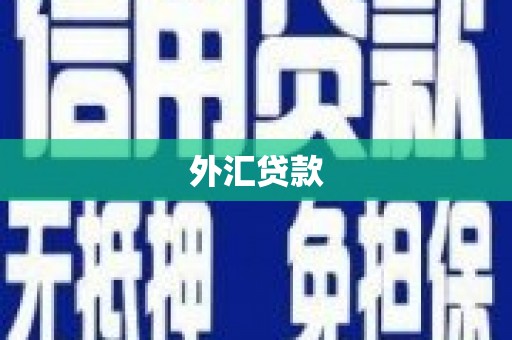 锡林郭勒外汇贷款