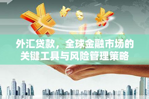 锡林郭勒外汇贷款，全球金融市场的关键工具与风险管理策略