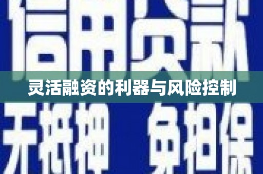 锡林郭勒灵活融资的利器与风险控制