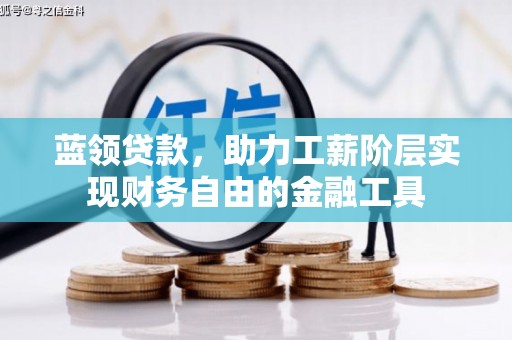 锡林郭勒蓝领贷款，助力工薪阶层实现财务自由的金融工具