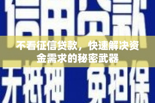 锡林郭勒不看征信贷款，快速解决资金需求的秘密武器
