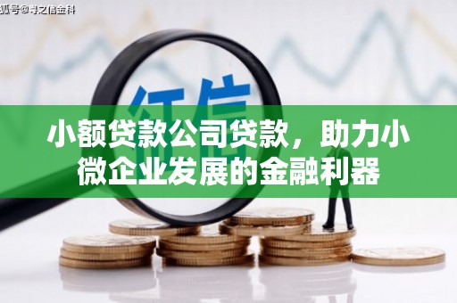 锡林郭勒小额贷款公司贷款，助力小微企业发展的金融利器