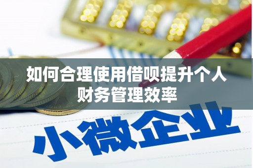 锡林郭勒如何合理使用借呗提升个人财务管理效率