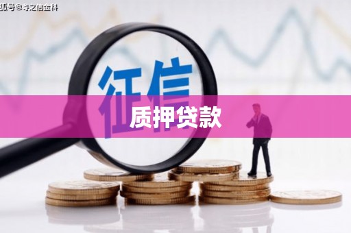 锡林郭勒质押贷款