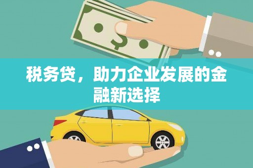 锡林郭勒税务贷，助力企业发展的金融新选择