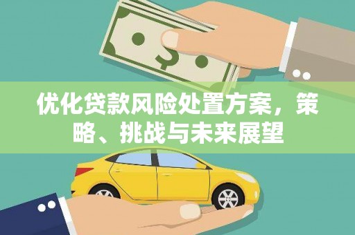 锡林郭勒优化贷款风险处置方案，策略、挑战与未来展望